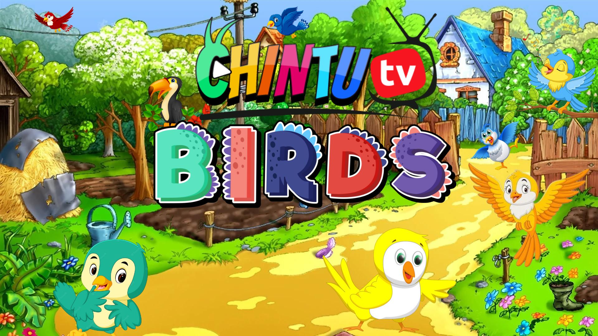 BIRDS